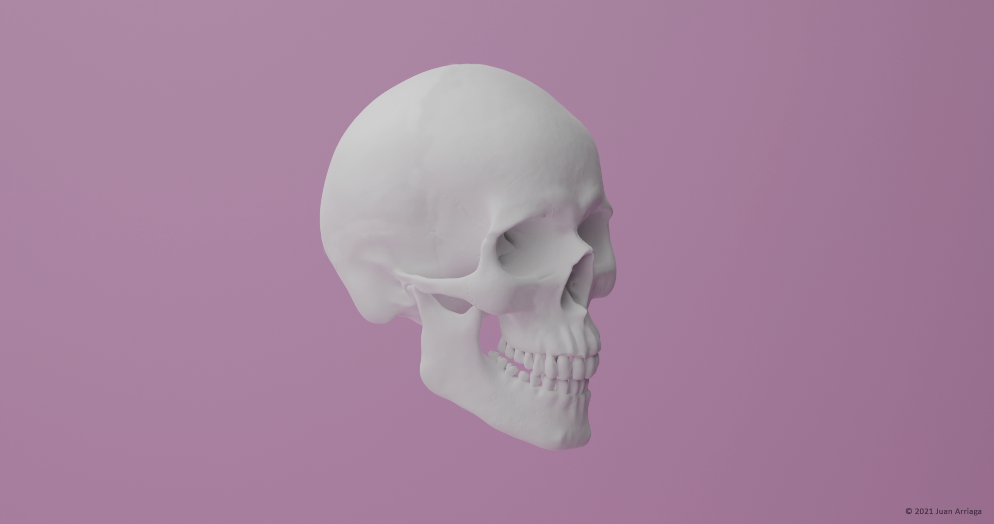 3D Modeling
